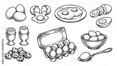 Egg breakfast set with quail eggs carton bowl and fried egg sketch
