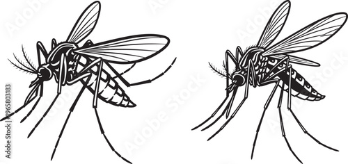 Two detailed line art illustrations of mosquitoes on a white background with Black And White with Pest Control