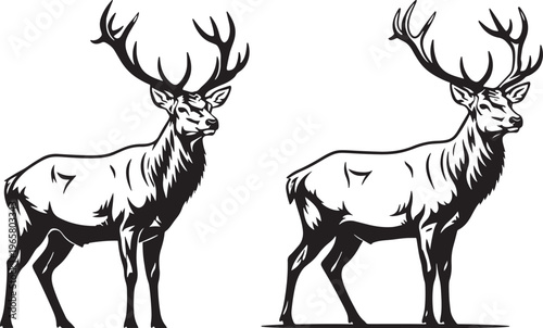 Two Majestic Stags with Large Antlers, Wildlife Animals in Outline Style, Elegant Wildlife Art, Red Deer, Forest Dweller, Animal Illustration, Wild Animal, Animal Icon, Symbolic Animal, Animal Graphic