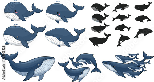Illustration Set of Different Whales, Including Various Whale Species, Groups, and Silhouettes, in Playful and Cute Style