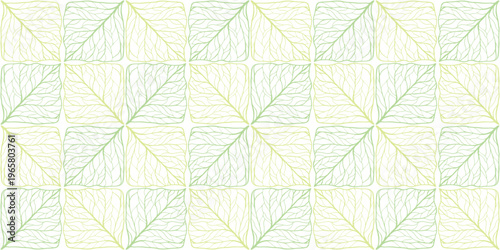 植物の葉脈が織りなす幾何学模様