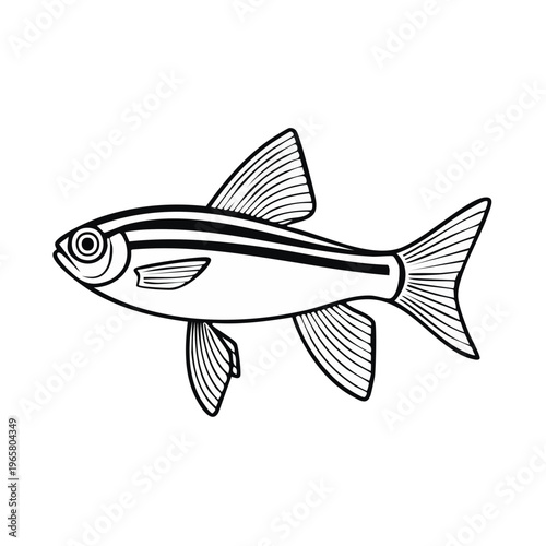 Simple line art illustration of a zebra danio fish swimming side profile with stripes
