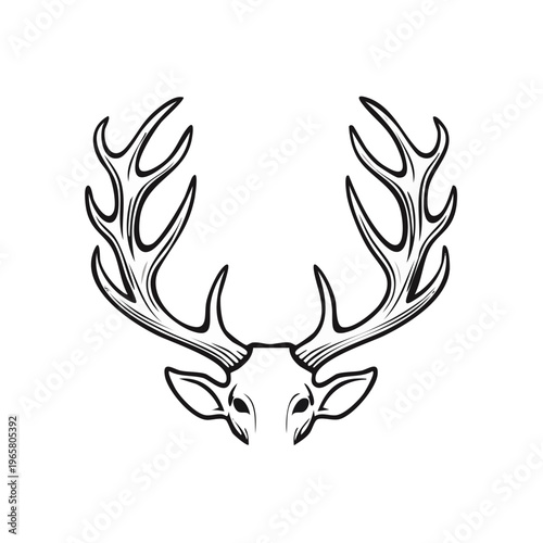 Majestic deer antlers and head outline drawing vector illustration