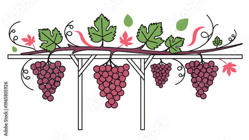 Clusters of red grapes hang from a wooden trellis with green leaves in a simple and colorful vineyard harvest illustration.