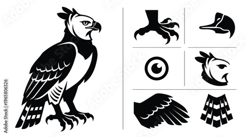 Powerful harpy eagle vector illustration set featuring eagle body head with crest sharp beak eye wing and bird claw icons isolated
