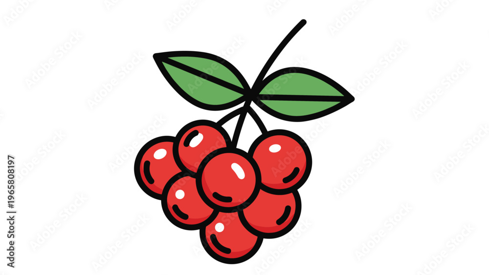 Obraz premium Small cluster of bright red berries hanging from a single green branch with two leaves on a clean white background.