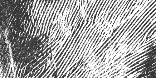 Close up of a black and white fingerprint texture with parallel ridges and rough grainy details pattern