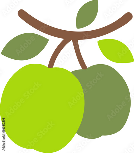 Green plums hanging on a branch 2D flat vector