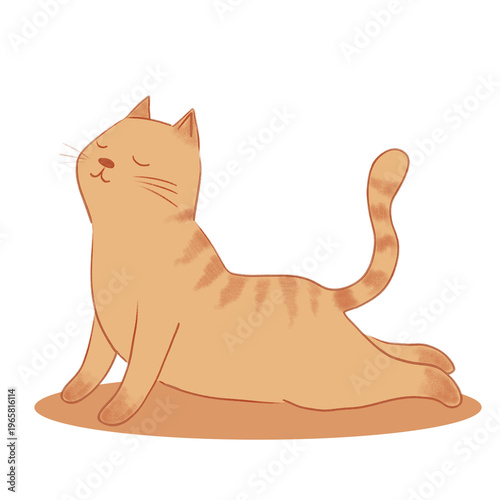 Cute ginger tabby cat in cobra yoga pose on orange mat. Hand-drawn illustration of orange kitten stretching back with closed eyes. Minimalist animal wellness and mindfulness concept. PNG