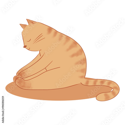 Cute ginger tabby cat in forward bend yoga pose on orange mat. Hand-drawn illustration of orange kitten stretching with closed eyes. Minimalist animal wellness and mindfulness concept. PNG