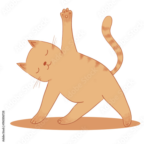 Cute ginger tabby cat in triangle yoga pose on orange mat. Hand-drawn illustration of orange kitten stretching with closed eyes. Minimalist animal wellness and mindfulness concept. PNG