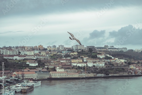 Canvas Print Feeling the pulse of Porto, a digital nomad navigates a city under economic strain