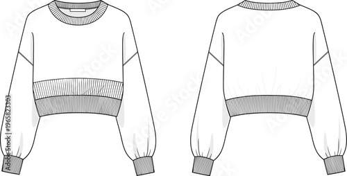 Women's Ribbed Hem Cropped Crewneck Sweatshirt Technical Fashion Flat Sketch Template, Long Sleeve Pullover Jumper Cad Drawing Flat Vector Illustration