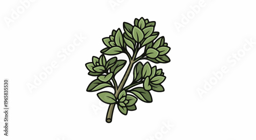 A simple cartoon illustration of a sprig of green herb leaves