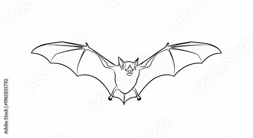 A simple line drawing of a bat with wings spread wide