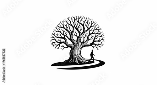 Silhouette of person walking path around large, bare-branched tree