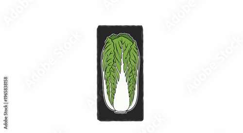 Stylized illustration of a green Chinese cabbage on a dark background