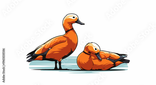Two vibrant orange ducks, one standing, one resting, by water