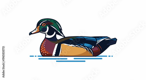 Colorful stylized duck floats on rippling blue lines against white