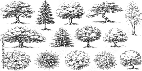 A flat vector illustration of a cold winter forest set of trees with blue snowflakes and frozen fir branches for a festive Christmas holiday pattern design