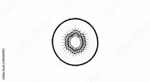 Stylized black and white illustration of a kiwi fruit slice