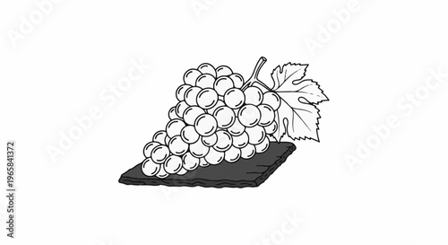 Detailed outline drawing of a cluster of ripe grapes on a dark textured surface with a leaf