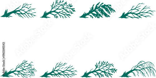 Vector illustration of a winter Christmas background featuring fir branches and snowflakes with a festive floral decoration frame and frost art pattern for a holiday celebration border