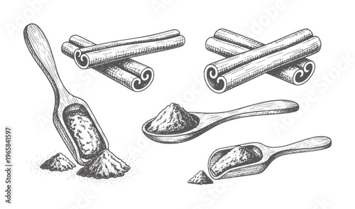 Hand drawn cinnamon sticks and powder wooden scoops and spoon spice