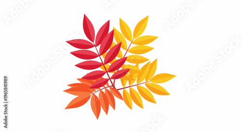 Autumn leaves in red, orange, and yellow hues branch out against a white backdrop