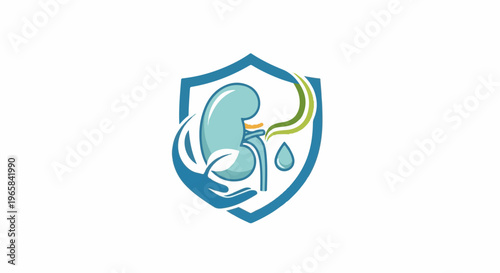 Medical graphic of a stylized kidney inside a shield