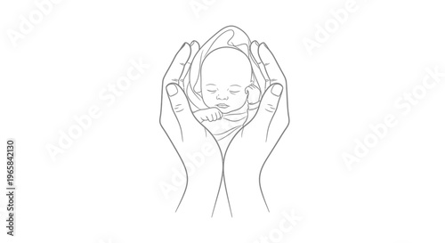 Caring Hands Gently Holding a Newborn Baby, Symbolizing Protection and New Life, Isolated White Background