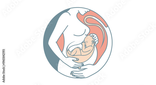 Pregnant Woman's Womb with Developing Fetus Inside Illustration, isolated white background