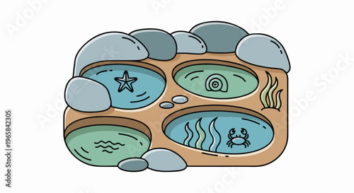 Cartoon depiction of shallow tide pools with marine life and rocks
