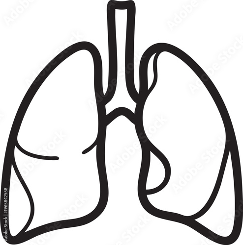 A detailed illustration of human lungs with trachea