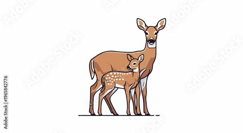 Mother and baby deer standing side-by-side on a white background