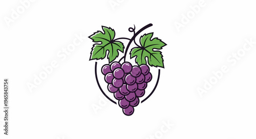 A bunch of purple grapes with green leaves hangs from a vine