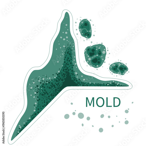 Green mold in damp room corner. Black fungus spores growth in humid environment. Vector illustration.
