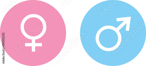 Female and Male Gender Symbols in Pink and Blue Circles, Flat Minimalist Design vector illustration
