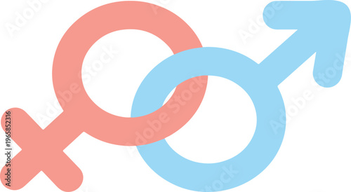 Interlinked Female and Male Gender Symbols in Pink and Blue, Flat Minimalist Relationship vector illustration
