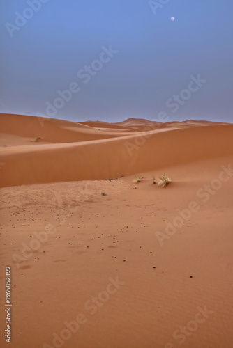 Moon over the Erg Chebbi dunes at sunset, wind-blown sand field swept by a strong wind as advance of an upcoming heavy sandstorm. Merzouga-Morocco-188