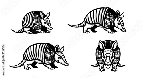 Armadillo Illustrations - Black and White Vector Graphics.