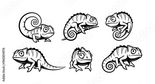 Chameleon Illustrations - A Collection of Six Unique Designs.
