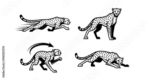 Cheetah Silhouettes - A Collection of Dynamic Feline Poses in Black and White.