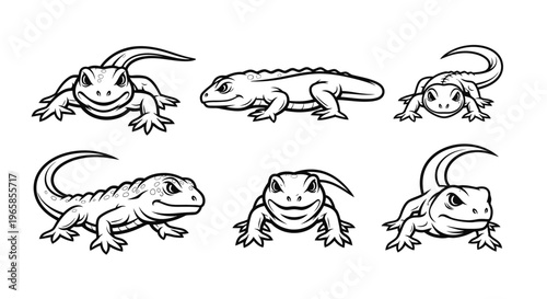 Collection of lizard illustrations in black and white outline.