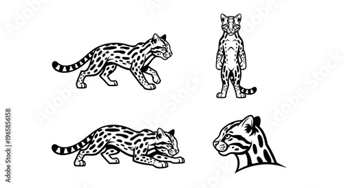 Detailed Line Art of Ocelots in Various Poses.