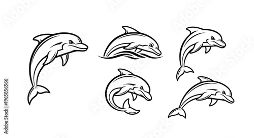 Dolphin Silhouette Collection - Graceful Marine Mammals in Vector Art.