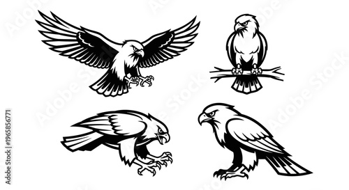 Eagle Illustrations - Majestic Birds of Prey in Striking Black and White.