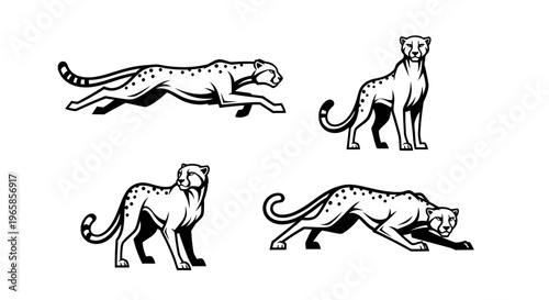 Elegant Cheetah Illustrations - A Study in Motion and Stillness.