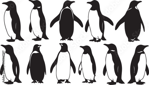 Ten stylish penguin silhouettes in black and white animals