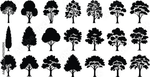 Tree silhouettes collection, forest nature elements, botanical illustration set, different tree shapes, landscape design, black vector woodland trees isolated artwork